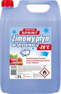 PAR073376 PARYS - PLAK ZIMOWY PŁYN DO SPRYSKIWACZY -20C 5L MALINA Z POZIOMKĄ BRAK MOŻLIWOŚCI ZWROTU /PLAK/