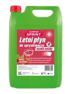 PAR083642 PARYS - PŁYN DO SPRYSKIWACZY LETNI SUMMER SPRINT 5L MALINA Z POZIOMKĄ BRAK MOŻLIWOŚCI ZWROTU