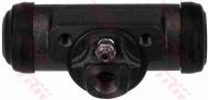 BWF319 TRW - CYLINDEREK HAM. 