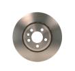 0986478314 BOSCH - TARCZA HAM. 